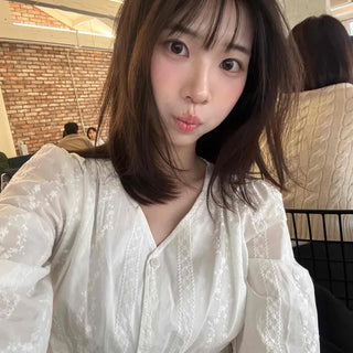 Romantic Shirred Lace Embroidered V-Neck Blouse