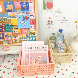 Pastel Storage Crates