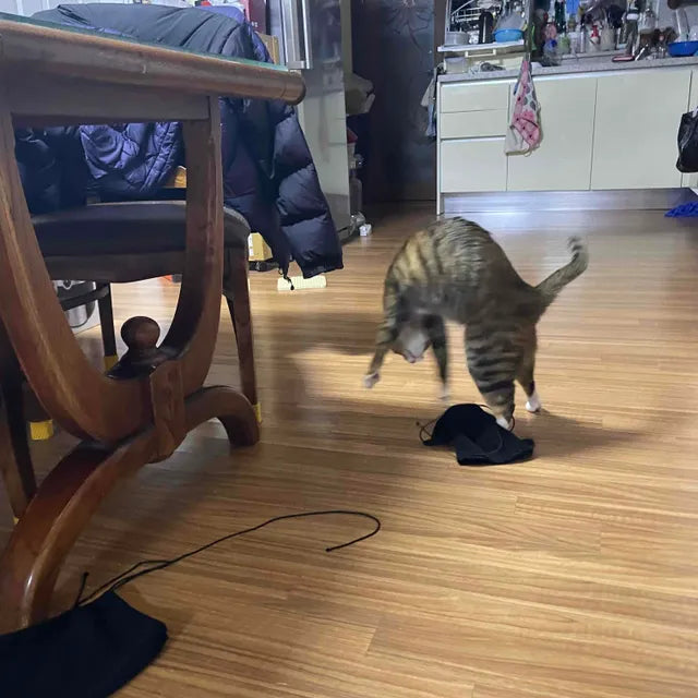 Review image