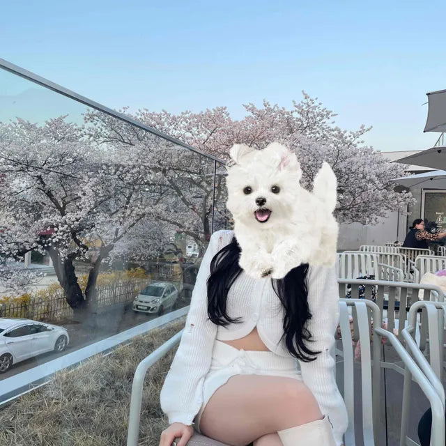 Review image