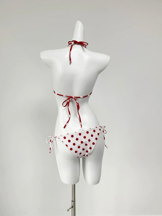 Red Polka Dot Bikini Bottom Cover Swimsuit
