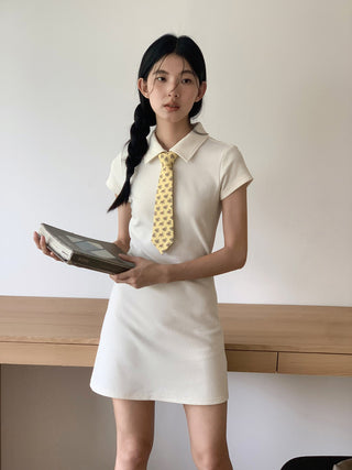 college tie skirt