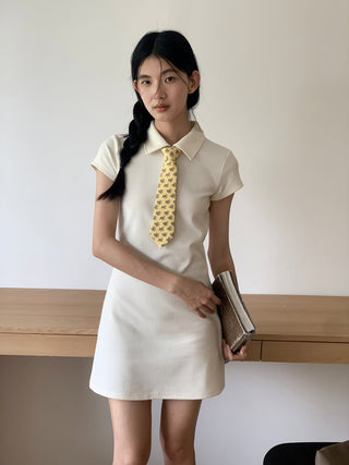 college tie skirt