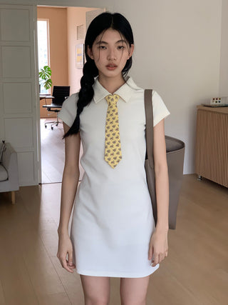 college tie skirt