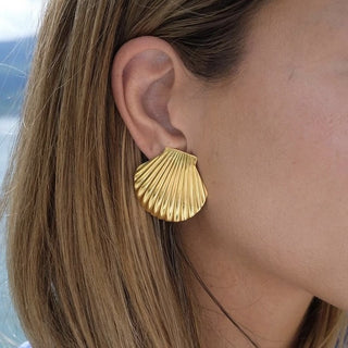 Shell Earrings