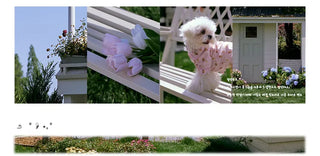 puff umbrella suit