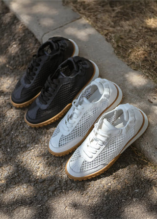 Root See-through Sneakers 2cm