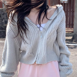 2-Way Twist Knit Hoodie (4 colors)