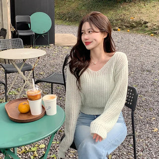 Soft V-neck knit (6 colors)