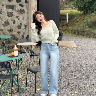 Soft V-neck knit (6 colors)