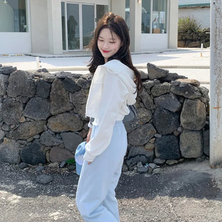 Pile Cropped Hoodie (7 colors)