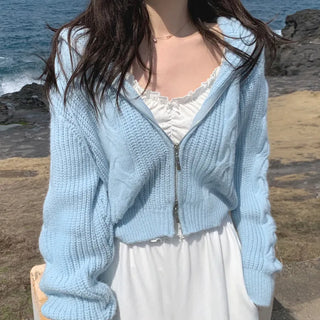 2-Way Twist Knit Hoodie (4 colors)