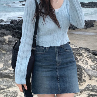Span denim skirt (2 colors)