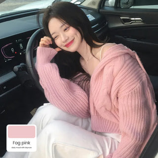 2-Way Twist Knit Hoodie (4 colors)