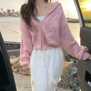 2-Way Twist Knit Hoodie (4 colors)