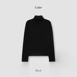 Fleece-lined turtleneck top (11 colors)