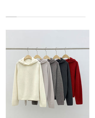 hooded wool sweater