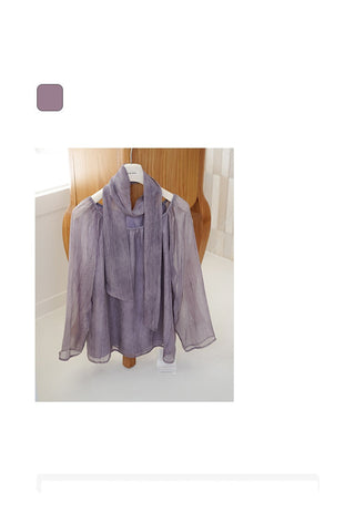 see-through chiffon Top