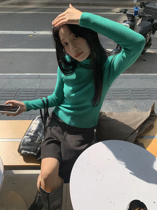 turtleneck slim sweater