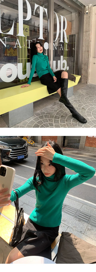 turtleneck slim sweater