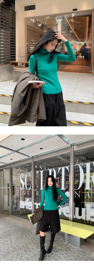 turtleneck slim sweater