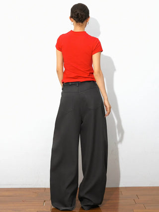wide leg suit pants