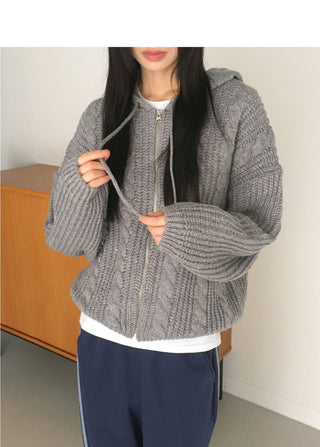 Choke Thick Wool A-line Fit Bocashi Twisted Hood Knitwear Zip-up