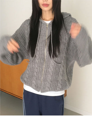 Choke Thick Wool A-line Fit Bocashi Twisted Hood Knitwear Zip-up