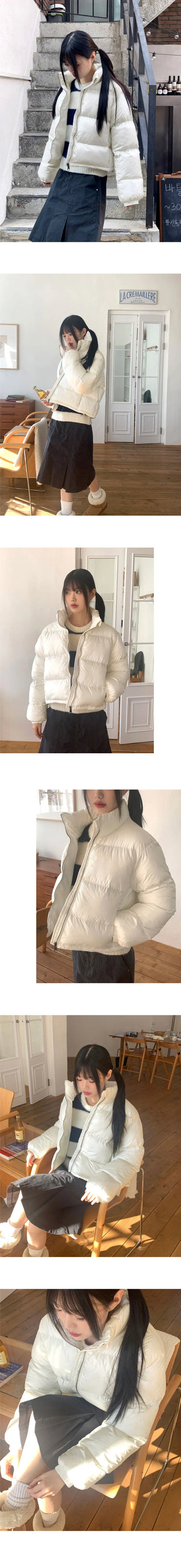 Orson Wellon Puffer Crop Short Padding