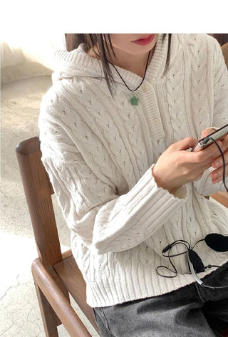 SAD Twisted Button Half Zip Up Hood Long Sleeve Knitwear