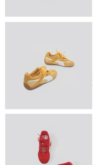 ballet training shoes