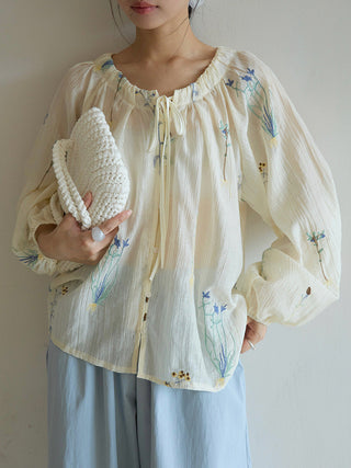 embroidered lantern sleeve