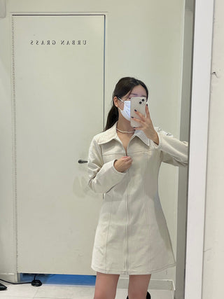 Zipper Polo Dress