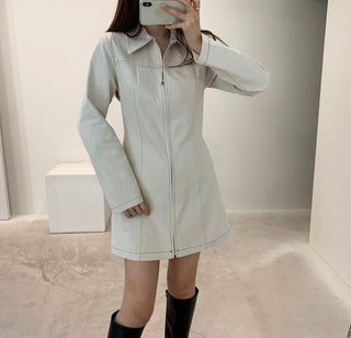 Zipper Polo Dress