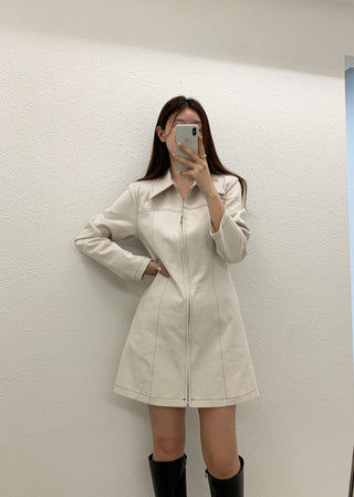 Zipper Polo Dress