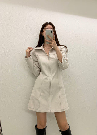 Zipper Polo Dress