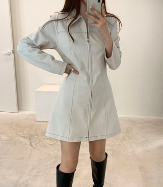 Zipper Polo Dress