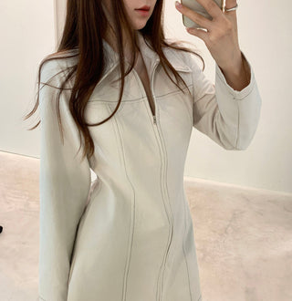 Zipper Polo Dress