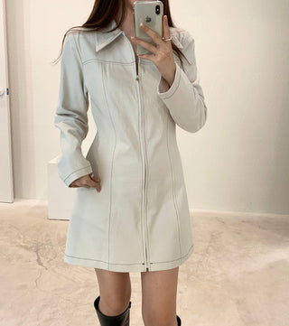 Zipper Polo Dress