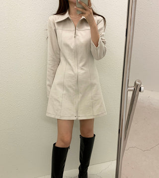 Zipper Polo Dress