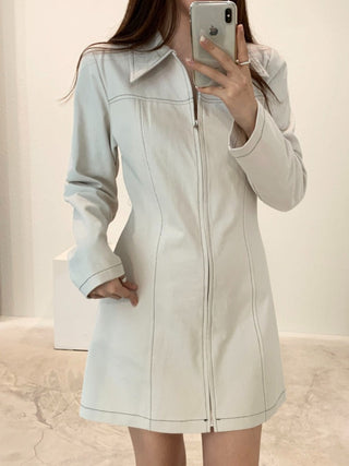 Zipper Polo Dress