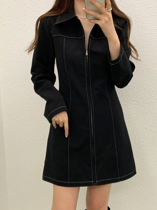 Zipper Polo Dress