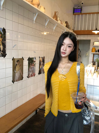 Striped Knitwear