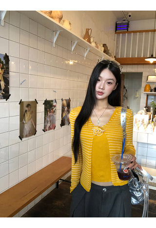 Striped Knitwear