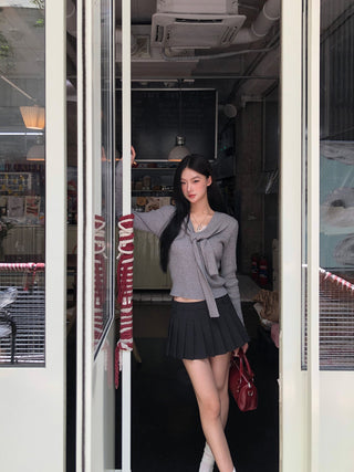 Pleated A-Line Skirt