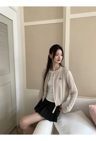Pleated A-Line Skirt