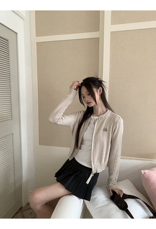Pleated A-Line Skirt