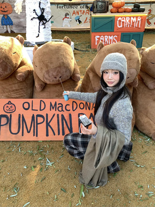 variegated zipper sweater