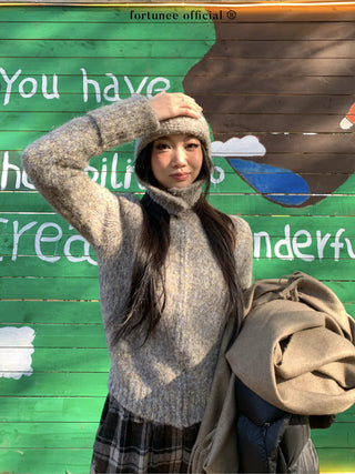 variegated zipper sweater