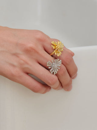 fireworks open ring